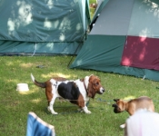 TwoRivers2008 133